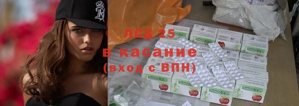 прущие грибы Алексеевка