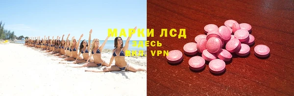 прущие грибы Алексеевка
