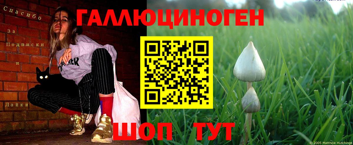 Псилоцибиновые грибы MAGIC MUSHROOMS  Вход с VPN  Кимры 
